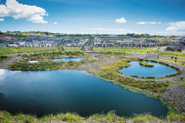 Stonefields from the foot of Maungarei.