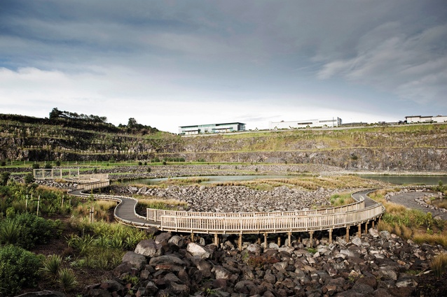 The Maungarei Springs wetland, sitting in the former Winstone Quarry.